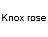 Knox rose