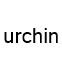 urchin